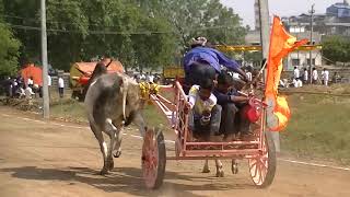 Anjaneya prasan racing bulls at Mudhol