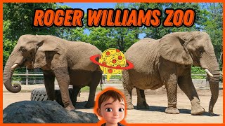 Roger Williams Zoo