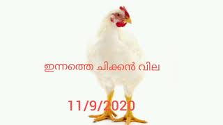 ഇന്നത്തെ ചിക്കൻ വില //11/9/2020// today chicken rate//