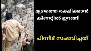 പൂച്ചയെ രക്ഷിക്കാൻ   ഇറങ്ങിയപ്പോൾ സംഭവിച്ചത്  !   Cat Catching