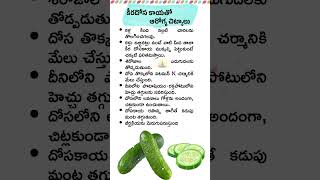 కీర దోసకాయతో ఆరోగ్య చిట్కాలు 😊 Health Benefits Of Cucumber In Telugu 👍 #shorts