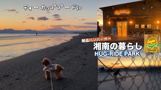 湘南に移住してよかったと思うとき【ワンコの散歩と夕陽とハンバーガー】