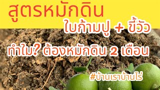 สูตรหมักดินจากใบก้ามปู + ขี้วัว  ทำใม?ต้องหมักดิน 2 เดือน มีคำตอบ