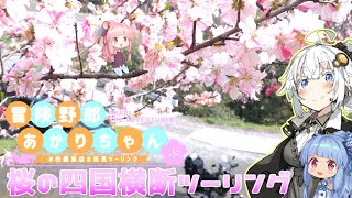 【VOICEROID車載】2022年 春のお花見ツーリング #1【高松～八幡浜】