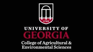 CAES Convocation Fall 2024