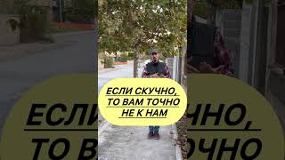 «ТРЭШ» в Албании. Что происходит?  #албания