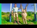 White African Food!! South Africa’s Afrikaner Influence!!