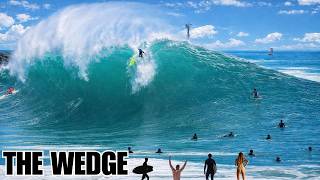 The Wedge – 24/7 Insane Surf Chaos Stream 🌊 | Raw Footage | Live