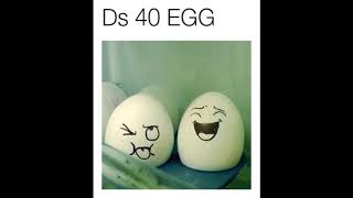 Ds 40 Hands - Egg