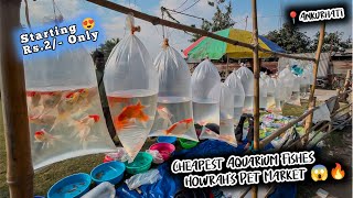 Ankurhati Fish Pet Market | Aquarium Fish Price Update | Ankurhati Howrah Fish Market | Pet Market