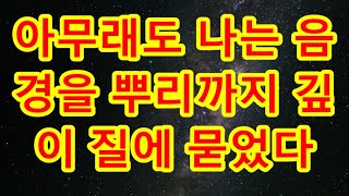 (실화사연) 건장한 남동생 핏줄끼리 이래도 돼.._ _ 실화사연 _ 네이트판 _ 사연 _ 연애 _ 사랑 _ 라디오 _ 사연읽어주는여자 _ 썰디#사이다사연 #시어머니 #반전사연