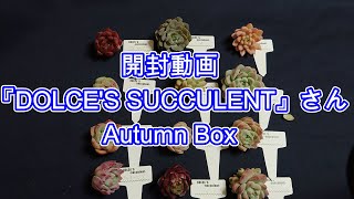 【多肉植物】【ガーデニング】DOLCE'S SUCCULENTさんのAutumn Box開封します