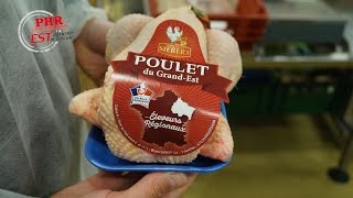 Le Poulet du Grand Est, une filière locale