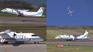 18/10/08 新潟空港 訓練飛行 海上保安庁 JCG DHC-8-Q300 (JA725A) Take off \u0026 Landing at Niigata Airport