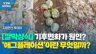 [짤막상식] 기후변화가 원인? '애그플레이션'이란 무엇일까? / YTN 사이언스