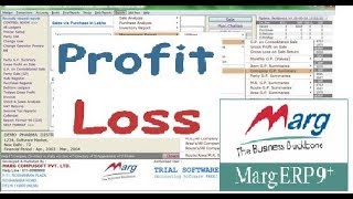 For beginners profit and loss in marg accounting software (HINDI) | Accounting for beginners |