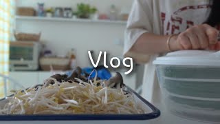 주부 VLOG | 열심히 운동 중 | 쭈꾸미 샤브샤브 | 밀가루 없는 콩국수 | 남편 도시락 싸기 | 오늘의 혼술 안주 낙곱새