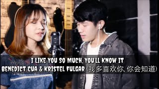 I Like You So Much, You’ll Know It | L Y R I C S|  Benedict Cua & Kristel Fulgar