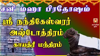 SANI MAHA PRADOSHAM SPL | VERY POWERFUL SRI NANDHIKESHWARAR ASHTOTHRAM | SIVAN SLOGAS MANTHRAS