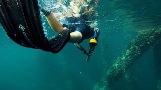 SPEARFISHING // GULF OF MEXICO // SUMMER 2017