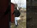 A door with invisible walls #shorts #shortsfeed #shortvideo #ytshorts #ytshort