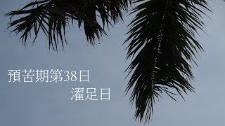 靈修:預苦期第38日-濯足日 20230406