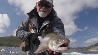 RAPID LAKE LODGE | Quebec