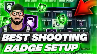 THIS is the BEST SHOOTING BADGE SETUP in nba 2k20.