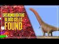 Soft-Tissues and Collagen Preserved In Dreadnoughtus – Large Dinosaur From Argentina