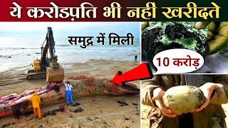 Why is Whale Vomit Expensive | व्हेल की उल्टी करोड़ों में क्यों बिकती है | Whale Ki Ulti | OddTrip