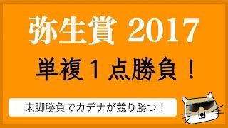 【競馬】弥生賞　単複１点勝負【にしちゃんねる】