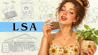 The Legal Psychedelic You Can Buy at Any Garden Store (LSA Exposed)