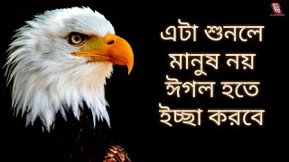 ঈগলের মতো বাঁচতে শিখুন।। Be Like an Eagle।। Motivational \u0026 Inspirational Video By indra