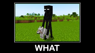 WAIT WHAT (Minecraft) #54