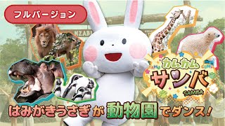 【あの！天王寺動物園とコラボ！】みんなで踊ろう！新曲「カムカムサンバ」本編公開！！