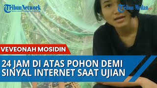 VEVEONAH Rela 24 Jam di Atas Pohon Cari Sinyal Internet, Demi Dapatkan Nilai Bagus Ujian Online