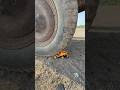 JCB DAMAGED BY BELL GADI #short