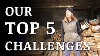 Our 5 Biggest CHALLENGES Living OFF GRID