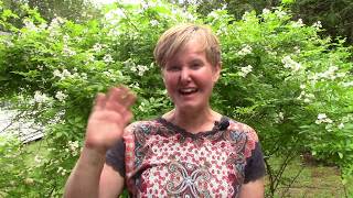 Oral Language Practice: Week 5 Day 3: Review Between & Among (Learn English)