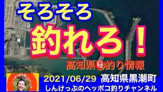 【高知県㊙️釣り情報】あとちょっと…（泣）足りないのは何だ？