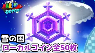 【スーパマリオオデッセイ】雪の国　ローカルコイン全５０枚の場所