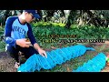 CARI LOBSTER SAMPAI DAPAT | MISI BALAS DENDAM PART 1