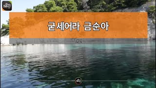 [아싸매직씽] 현인  - 굳세어라금순아  karaoke | MAGICSING