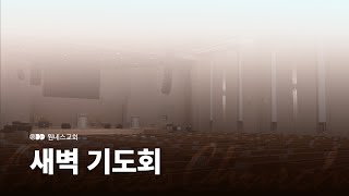 [원네스교회] 2025.01.08. 새벽기도회 (빛의 이정표)