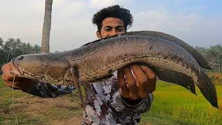 എന്ത് പെട്ടെന്ന് മീനുകൾ അടിക്കുന്നത്   SNAKEHEAD FISHING KERALA #snakehead #snakeheadfishinginindia