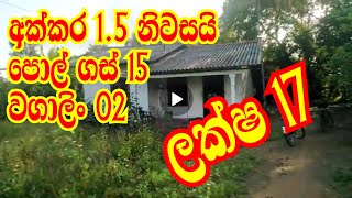 අක්කර 1.5 නිවසයි පොල්ගස් 15 ලක්ෂ 17 | aduwata idam | kalu malli