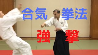 大東流合気柔術 錬体会161　佐川幸義　合気拳法　強撃　佐川派大東流合気武術　武田惣角　吉丸慶雪　合気上げ　合気下げ　合気道