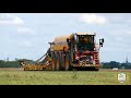 vredo bei der rapsaussaat claydon agrar. gnaschwitz dlb würsig ▶ agriculture germanyy