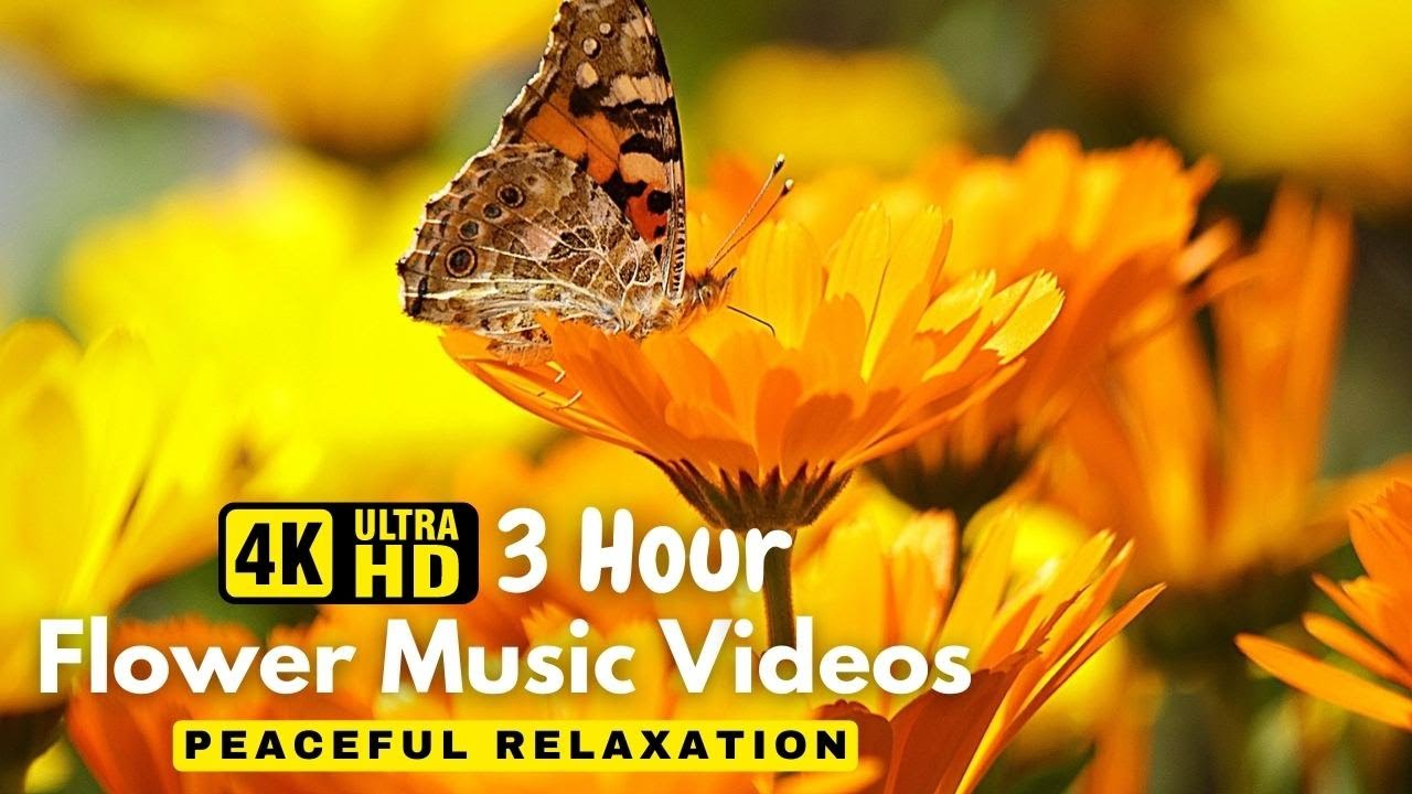 Beautiful Flowers Planet Earth Amazing Nature Scenery The Best