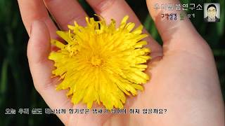 레위기|거룩한 삶의 지향하는 책|구약성경숲보기04